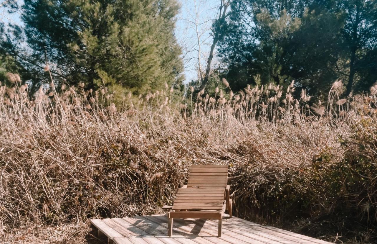 Cooltainer Retreat: Sustainable Coastal Forest Tiny House Near Barcelona Castelldefels Eksteriør billede